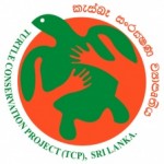 101307turtleconservationfinalistcons