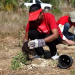 ZooMiami Apr 2014 Restoration008