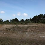 ZooMiami Apr 2014 Restoration011