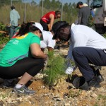 ZooMiami Apr 2014 Restoration014