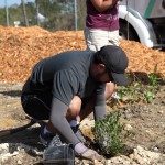 ZooMiami Apr 2014 Restoration015