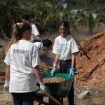 ZooMiami Apr 2014 Restoration020