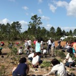 ZooMiami Apr 2014 Restoration023