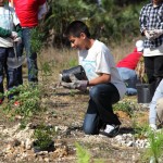 ZooMiami Apr 2014 Restoration024