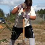 ZooMiami Apr 2014 Restoration025