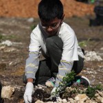 ZooMiami Apr 2014 Restoration030