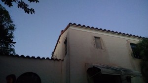 Florida bonneted bat roost under Spanish tile in Coral Gables